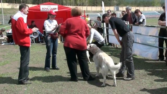 22 Мая 2010 Юниор смотреть онлайн