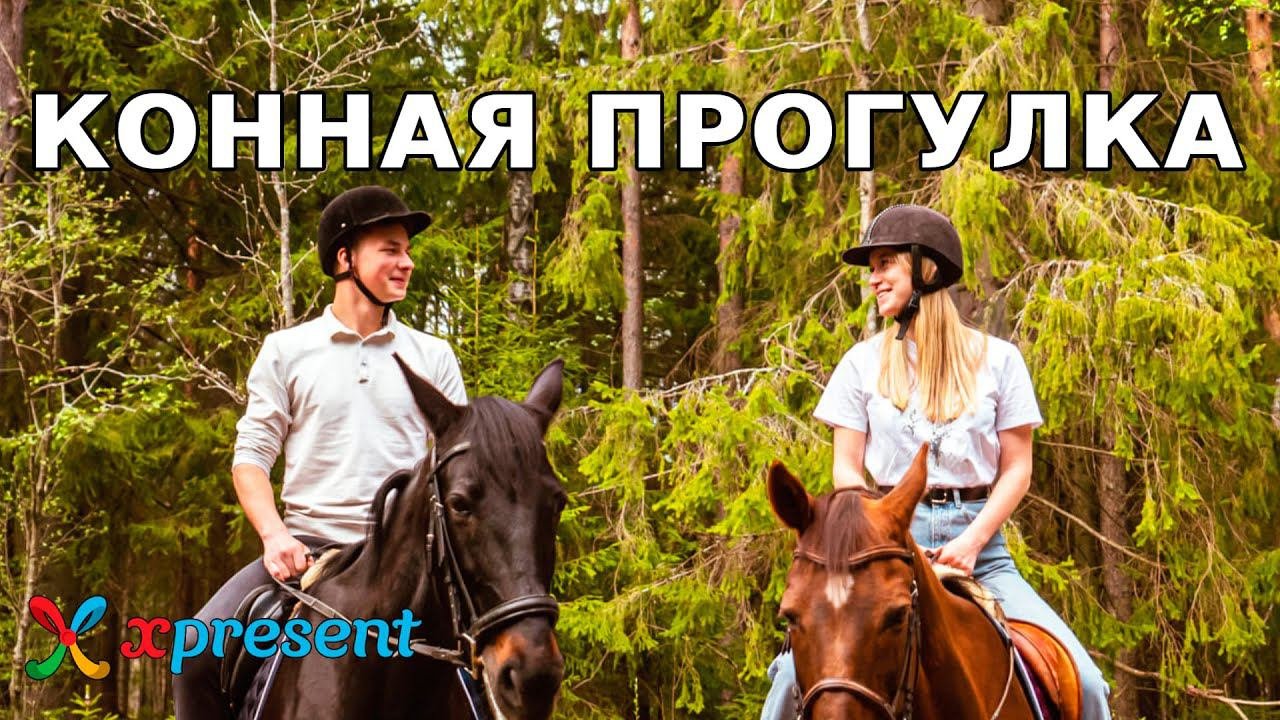 Конная прогулка