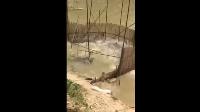 Здесь клюет. Подборка приколов на рыбалке смотреть онлайн