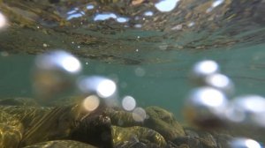 Южная Озеревка (район Новороссийска)