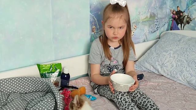 Сбылась моя мечта 🥹 Купили щенка Чихуахуа 🐕 Покупки для собаки 💖 Длинношерстный чихуахуа🐶