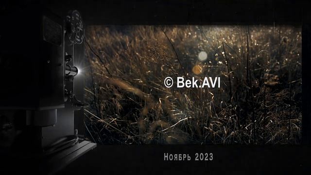 Осень танцует вальс Бостон смотреть онлайн