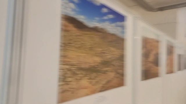 Сходил в музей природы на   Выставку «Динозавры»