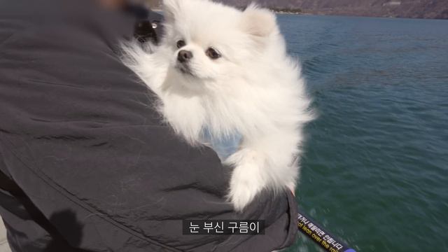 ENG)얼큰칼칼 순두부열라면, 묵은지 참치김밥 만들고 가평여행 가는 일상. 망해버린 당근케이크, LA갈비, 파기름 비빔국수, 떡갈비 샌드위치, 봄 옷 언박싱