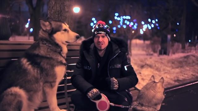 ВСЕ О ХАСКИ! сколько стоит содержать собак / ездовой спорт / ОТВЕТЫ НА КОММЕНТЫ смотреть онлайн