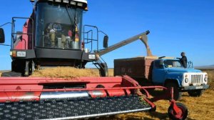 Спк плем зовод вторая петилетка Большая джалга