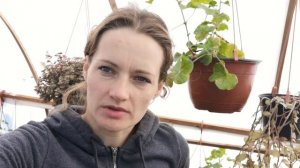 Цыплята из яиц под наседкой не вылупились