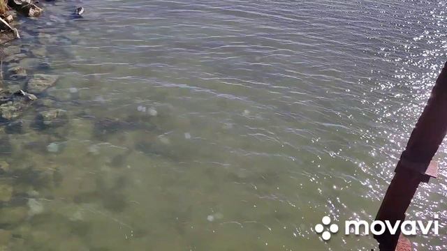 8.10.22Геническ.Железный мост.Ветер. смотреть онлайн