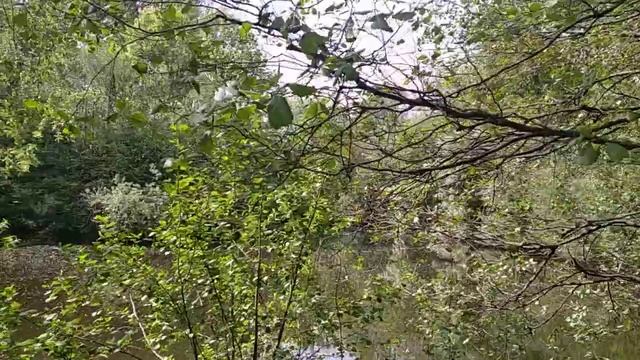 Парк Победы, Московский район, СПб,Красотааа??? смотреть онлайн