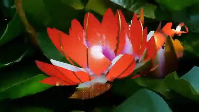 Серия Soo-Yun. Корейская уборка.