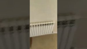 Эл.котел не греет Элекромаш 6кВт