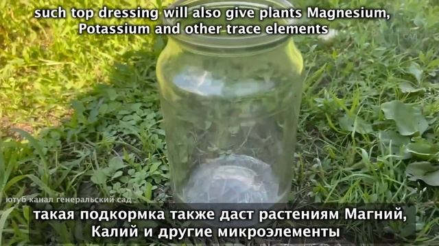 Срочно дайте уксус Огурцам и Томатам в Июле-Августе и будете собирать урожай ведрами до заморозков!