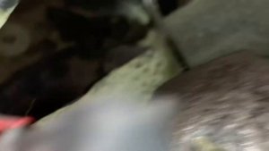 Провалилась педаль сцепления, причина