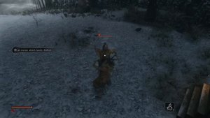 Sekiro - FPS Unlock - Enemy attack goes through my parry/block and nothing happens