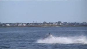 Sea-Doo RXT-X 260 in action.