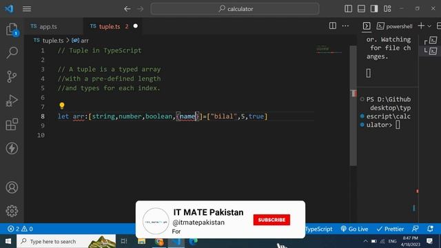 What are Tuples | Tuple Array |  Creating and Using Fixed Size Collections of Typed Elements