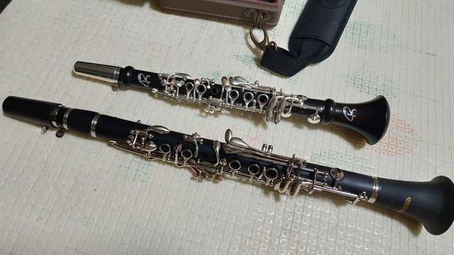 Ripa A-Flat Piccolo Clarinet Test-2 смотреть онлайн