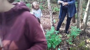 Грибы на участке. Сеем и собираем.