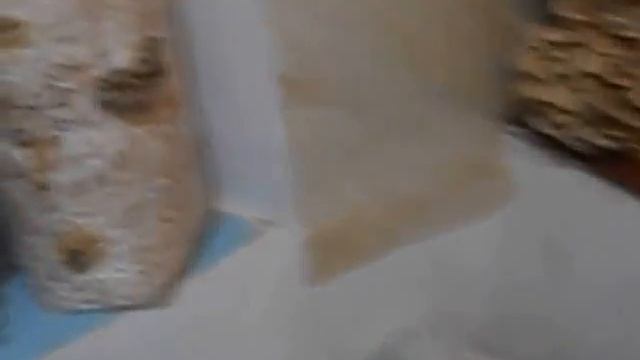 как влияет СО 2 на вешанку смотреть онлайн