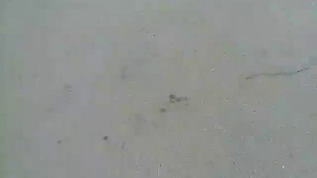 День рождения. смотреть онлайн