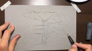 Как быстро нарисовать дерево сухой пастелью.