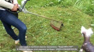 Бензокоса ECO GTP-185C