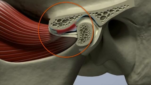 Внчс дислокация смотреть онлайн