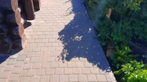 Укладка брусчатки и природного камня на дачном участке