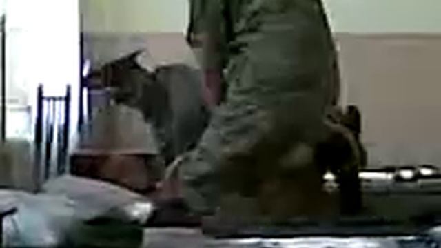 Минога смотреть онлайн