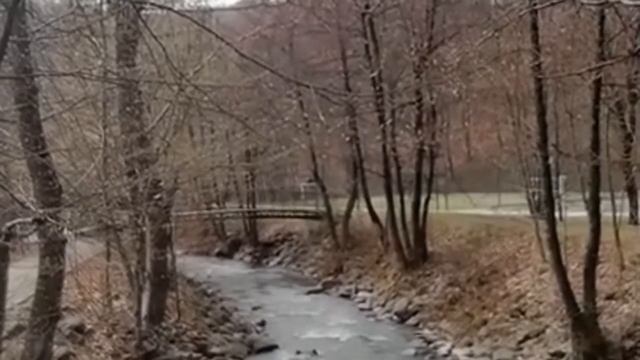 ЙОГА ДЕТОКС медитация пранаяма от стресса
