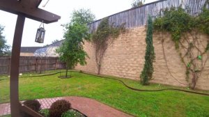 VLOG Рождество - Подарки и Новогодние блюда/ Папа Потап и Май Тойс Пинк