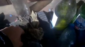 мопед карпаты часть 2 дальняк