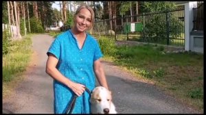 Воспитание САО. работа над командой '' Рядом'' на прогулке.