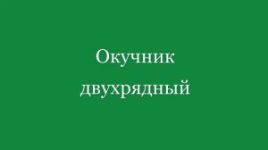 Прицеп-адаптер ПНО 1 Мотоблок BRAIT BR-135 GЕE