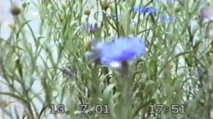 2001г. Верхний Урал часть 4