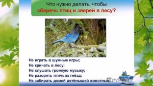 Видеоролик "День экологических знаний"