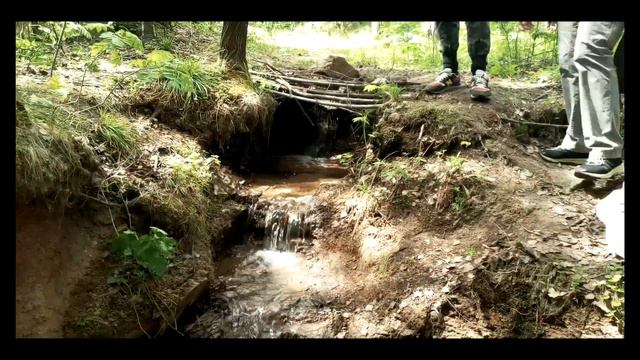 Природа Урала "По лосиной тропе" в парке природы "Истоки Исети"