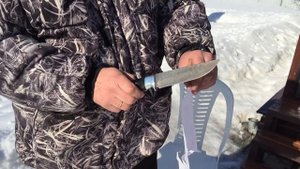 ★ КУЗНИЦА НАЗАРОВА НОЖ ОВОД СТАЛЬ ДАМАСК ★ Обзор Характеристики Отзывы