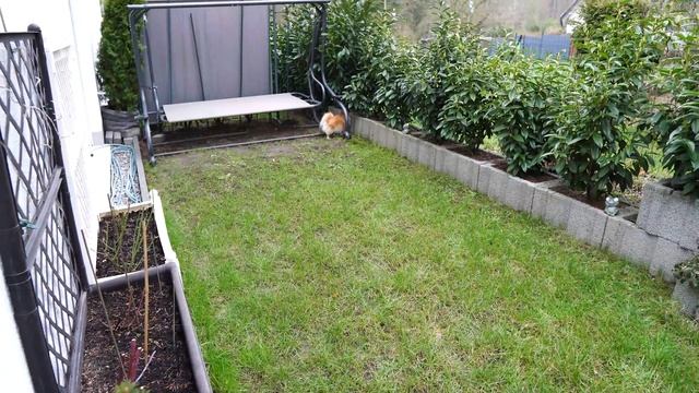 Sigma 16mm f/1.4 E-mount / объектив, который поражает качеством ?? смотреть онлайн