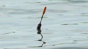 Карась Загибает Маховую Удочку! Пробую ловить на Болтушку