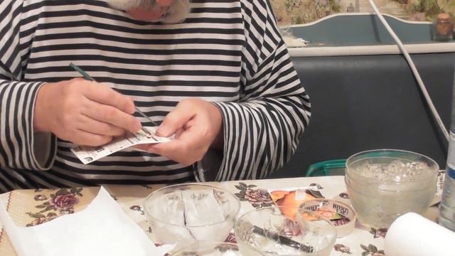 Как проверить семена на всхожесть  Проращивание семян перцев