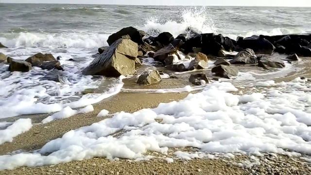 Морская пена на Азовском море. Бердянская коса.