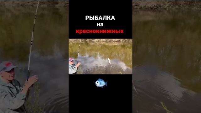 Ловля краснокнижных рыб?   #рыбалкавесной2022 #нерест #запретнарыбалку2022