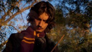 Какой Сириус Блэк На Самом Деле?