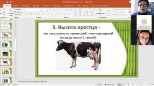 Петрова Ю.Н. ЗОО-121 / РО 02-04 / Измерение с/х ж/х и вычисление основных индексов телосложения