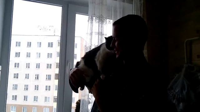 Кошка сидит на плече. Дрессировка кошки. Умная кошка слушается хозяина. смотреть онлайн