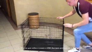 КЛЕТКИ СПБ РФ / КАК СОБРАТЬ КЛЕТКУ ДЛЯ СОБАК?!