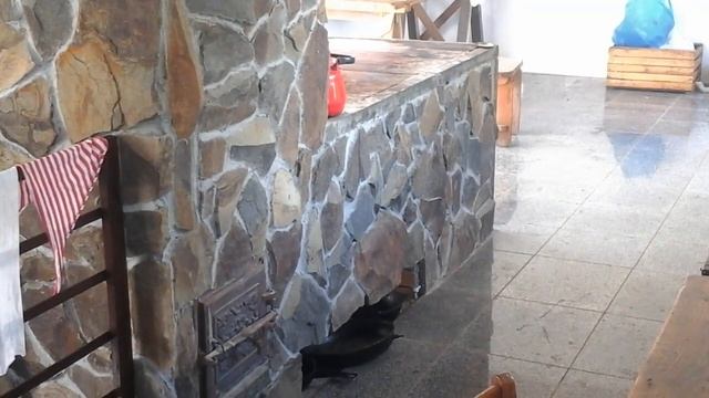 (139)Большая варочная плита и отопительная печка в летней кухне монастыря.