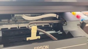 EPSON XP 352 | Ink Pad Full | Service Required | HOW TO RESET