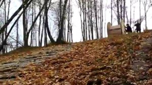 Дебилы в катушке